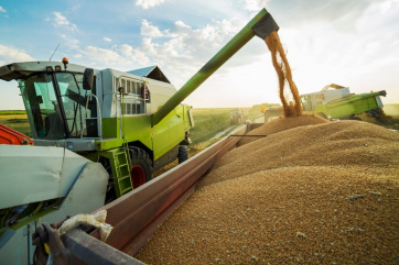 Экспортную пошлину на пшеницу из РФ снизили до 4951,7 рубля